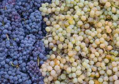 Bir kutu içinde siyah ve beyaz üzüm demet yalan