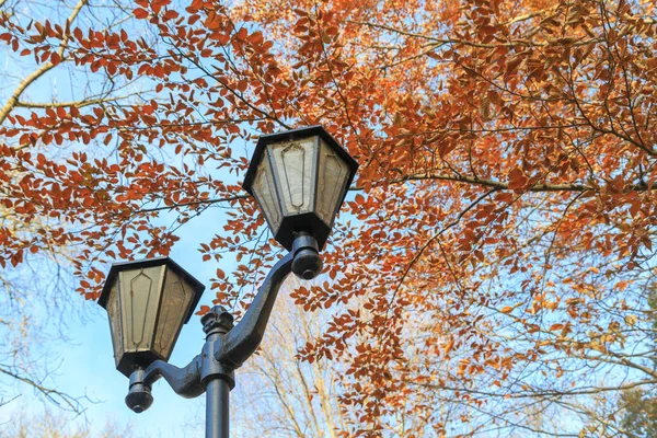 Farolas contra el cielo azul y el follaje otoñal — Foto de Stock