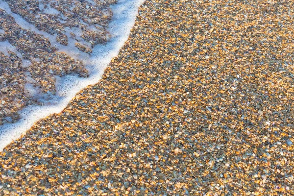 Arka plan olarak seashell beach denizde dalga yumuşak — Stok fotoğraf