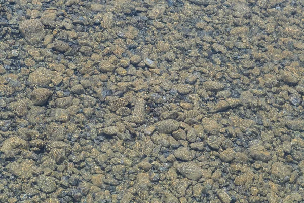 Molte pietre giacciono sotto la superficie trasparente del fiume — Foto Stock