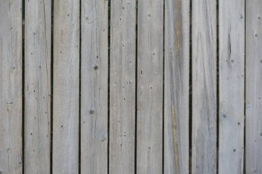 Kabuk böcekleri arka plan olarak izleri ile dikey vintage gri panoları