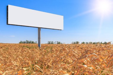 Mısır tarlasında bir mavi gökyüzü ve parlak güneşin arka plan üzerinde üzerinde büyük billboard