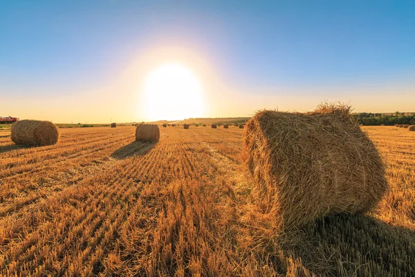 Buğday hasat sonra tarım alanı. Yuvarlak haystacks alanıyla on sunset