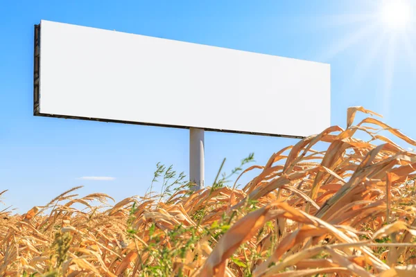 Template in the form of an empty billboard on a yellow field and on the background of blue sky and sun