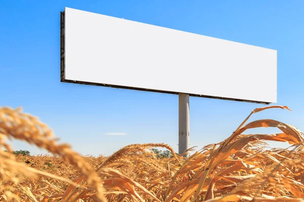 Template in the form of an empty billboard on a yellow corn field