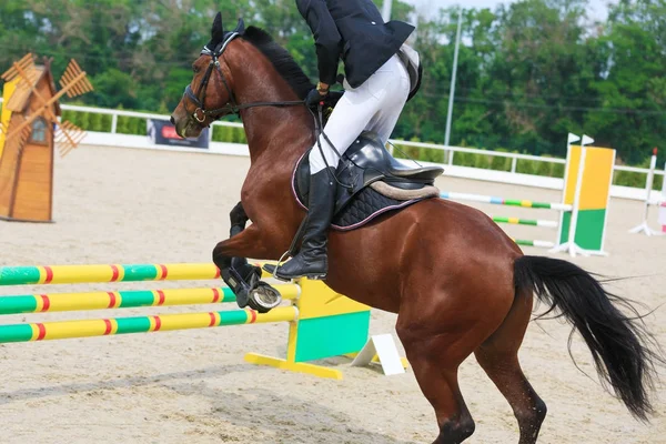 Rider on a chestnut horse jumps over a barrier in jumping competition — Stock Photo, Image