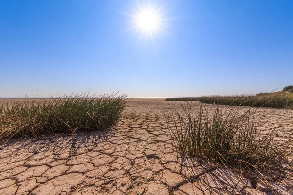 Terreno incrinato, vegetazione scarsa, cielo blu e sole luminoso come simbolo di siccità — Foto Stock