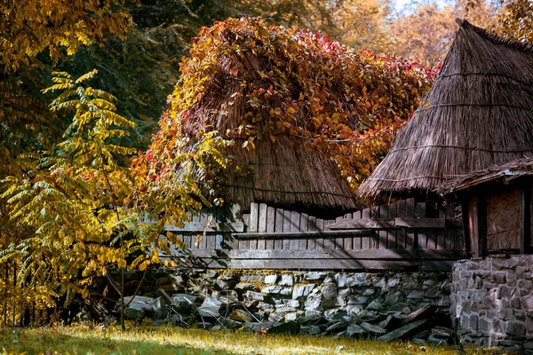 Capanne del villaggio con tetti di canna dietro una recinzione di legno in autunno — Foto Stock