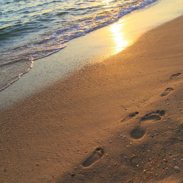 Fußabdrücke Eines Erwachsenen Mannes Und Eines Kindes Sand Strand Bei — Stockfoto