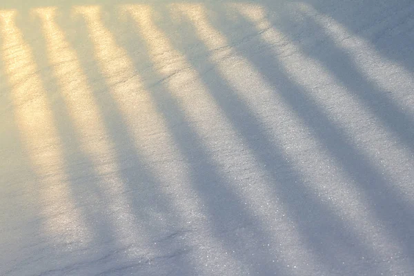 Schaduw Van Een Opengewerkte Hek Vallen Sneeuw Als Een Achtergrond — Stockfoto