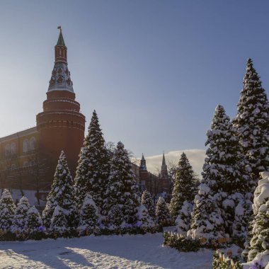 Moskova, Rusya, 01 Şubat 2018: Şen şakrak bir şekilde dekore edilmiş kar maskeli Noel ağaçları vardır stand Manegnaya meydanında yılbaşı tatillerinde. Moskova Kremlin Arsenal kuleye bakış