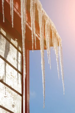 Büyük uzun buz sarkıtları çatıdan parlak güneş ve mavi gökyüzü arka plan asmak.