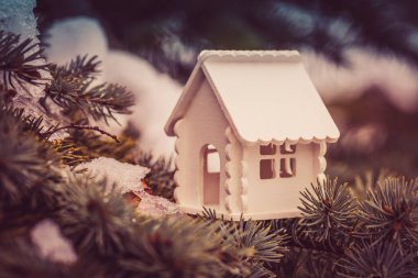 Minyatür Beyaz Saray kışın bir çam dalı gibi. Tonlu görüntü