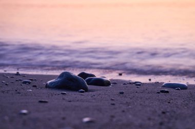 Plajda birkaç ıslak taş var Pembe şafağın zemininde