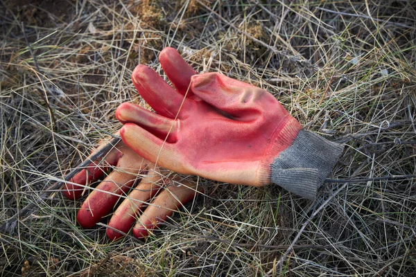 Paar Oude Rubberen Handschoenen Liggen Droog Gras — Stockfoto