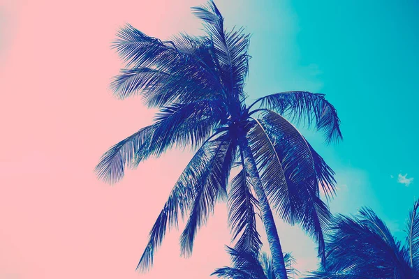 Tall Palm Tree Sea Sky Pink Turquoise Tinted Image — Stock Photo, Image