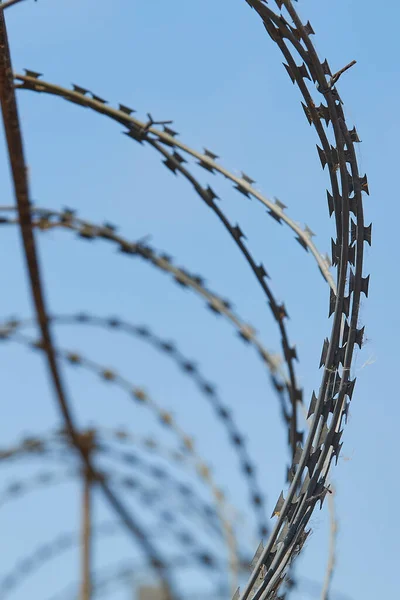 Spiral Barbed Wire Blue Sky Vertical Image — Stock Photo, Image