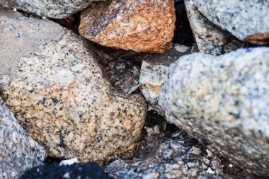 Kaya dokusu içinde yakın çekim için arka plan