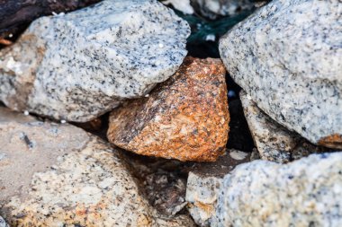 Kaya dokusu içinde yakın çekim için arka plan