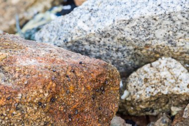 Kaya dokusu içinde yakın çekim için arka plan