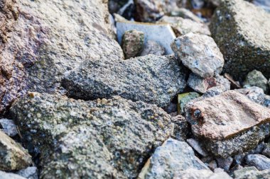 Kaya dokusu içinde yakın çekim için arka plan