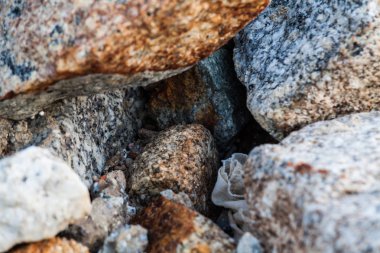 Kaya dokusu içinde yakın çekim için arka plan