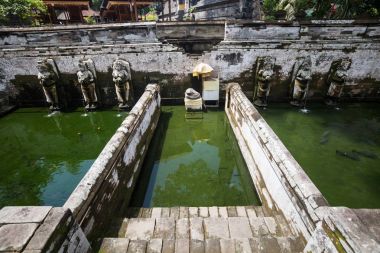 Goa Gajah tapınak veya bilinen adıyla fil Mağarası