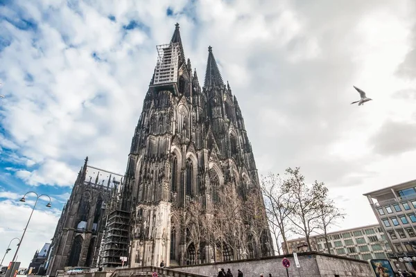 La cathédrale de Cologne en Allemagne — Photo