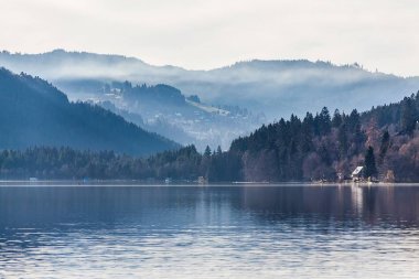 Göl Titisee, Almanya'da Kara Orman