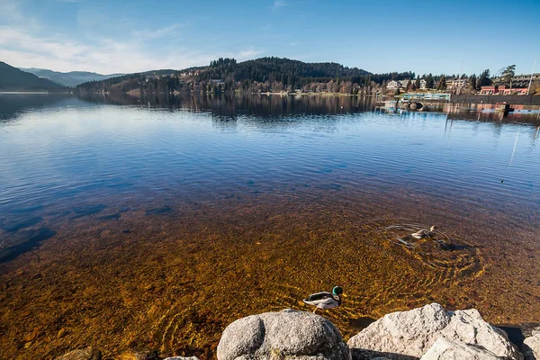 Λίμνη Titisee, Μέλανα Δρυμό στη Γερμανία — Φωτογραφία Αρχείου