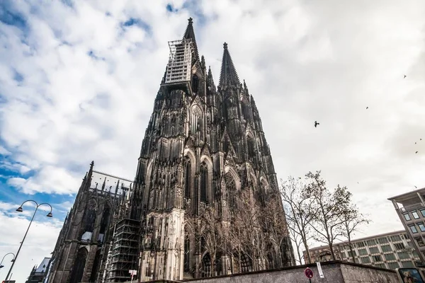 Vacances en Allemagne - La cathédrale de Cologne et le tourisme — Photo