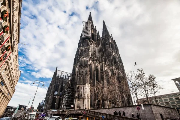 Vacances en Allemagne - La cathédrale de Cologne et le tourisme — Photo