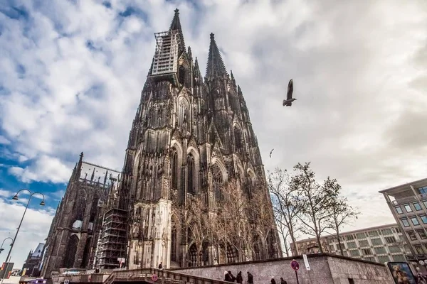 Vacances en Allemagne - La cathédrale de Cologne et le tourisme — Photo