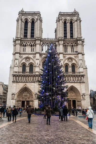 Vacaciones en Francia - Catedral de Notre-Dame y turista durante el invierno Navidad — Foto de Stock