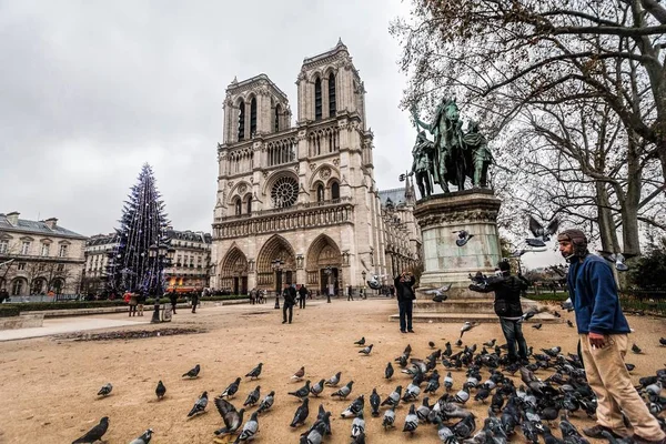 Vacaciones en Francia - Catedral de Notre-Dame y turista durante el invierno Navidad — Foto de Stock