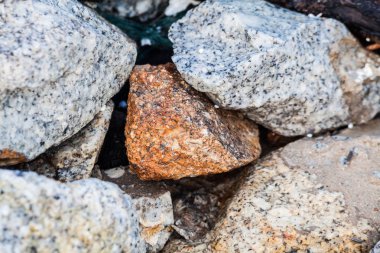 Kaya dokusu içinde yakın çekim için arka plan