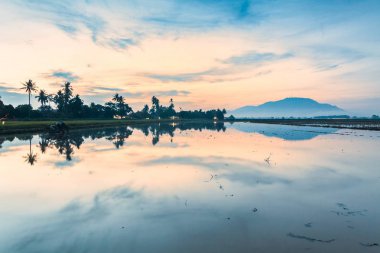 Yansıma gündoğumu Paddy alanında Bukit Mertajam Penang, Malezya