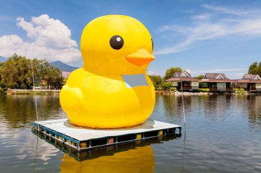 Büyük sarı balon ördek göl ya da deniz üstüne