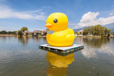 Büyük sarı balon ördek göl ya da deniz üstüne