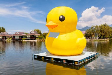 Büyük sarı balon ördek göl ya da deniz üstüne