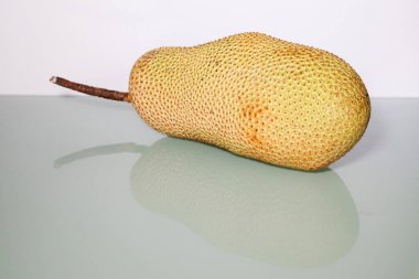 Olgunlaşmamış Artocarpus tamsayı veya ekmekağacı meyvesi ya da nefesi bilinen