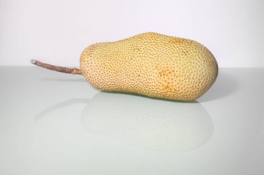 Olgunlaşmamış Artocarpus tamsayı veya ekmekağacı meyvesi ya da nefesi bilinen