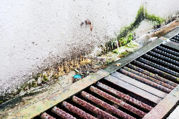 Görüntü arka plan ile sokak fotoğrafçılığı nesneler - paslı yosun kapat — Stok fotoğraf