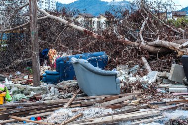 Önemsiz sitesi felaket tsunami, deprem, kasırga ya da tayfun gibi gösteren