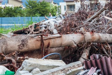 Önemsiz sitesi felaket tsunami, deprem, kasırga ya da tayfun gibi gösteren