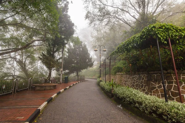 Foggy misty road indicating haunted — Stock Photo, Image