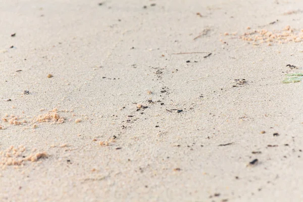 Nahaufnahme der Sandstruktur — Stockfoto