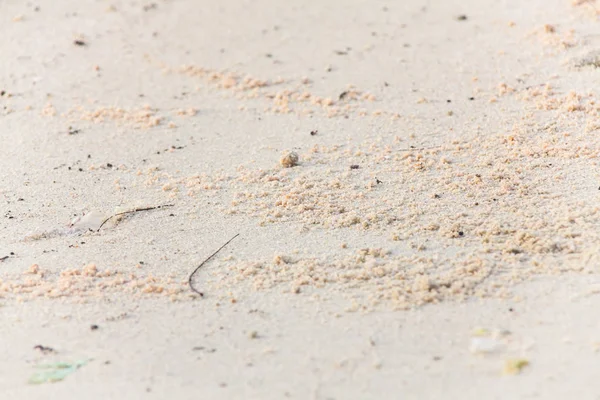 Nahaufnahme der Sandstruktur — Stockfoto