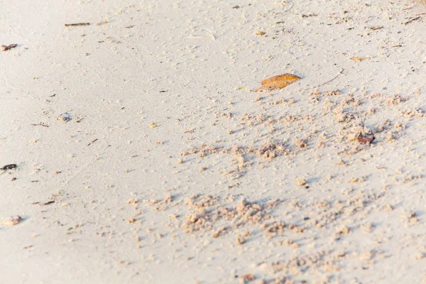 Nahaufnahme der Sandstruktur — Stockfoto