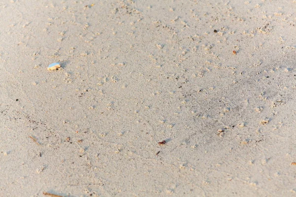Närbild av Sandstrukturen — Stockfoto